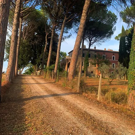 San Martino 托迪