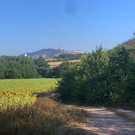 San Martino Apartamento Todi